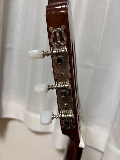 ARIA Ariana G-15 アコースティックギター 6弦