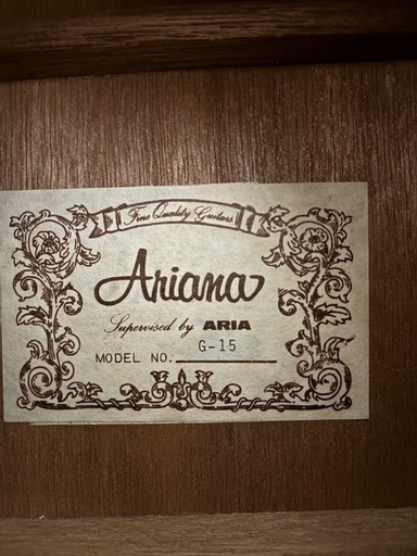 ARIA Ariana G-15 アコースティックギター 6弦