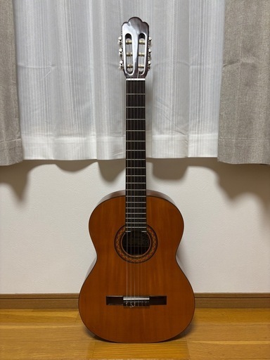 ARIA Ariana G-15 アコースティックギター 6弦