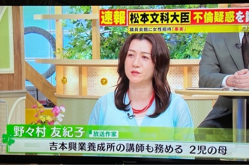 液晶テレビ（50型）