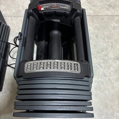 可変式ダンベル(可変方法が複雑)の画像