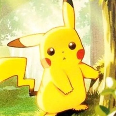 ポケカ友達募集