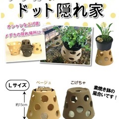 メダカの隠れ家　二つの画像