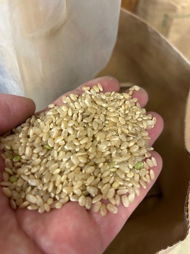 農家直送！ピカピカの新米！茨城県産 虹のきらめき [精米10kg]