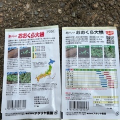 おおくら大根の種の画像