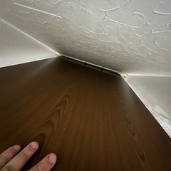 おっきめなこたつ
の画像