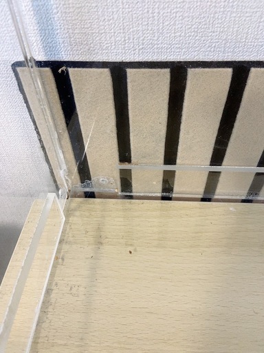 アクリルケース　鳥　インコ　アクリルゲージ