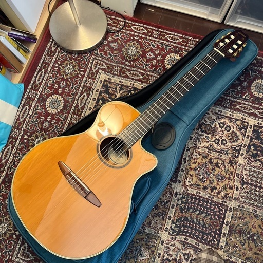 YAMAHA  APX-9NA
