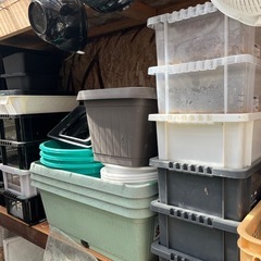 トロ船、プールの画像