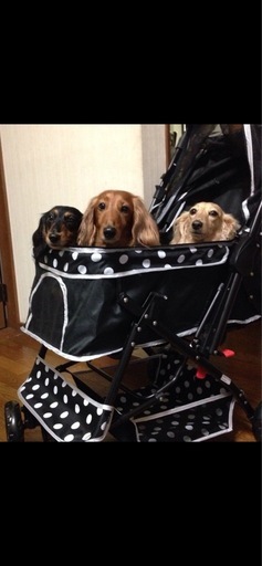 ペットカート　犬　猫　その他