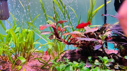 水槽フルセット