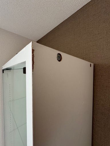 コレクションラック レギュラー ハイタイプ