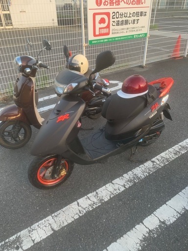 土日で引き取ってくれる方