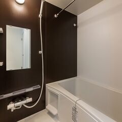 名古屋市中川区/1DK/家賃2カ月無料/ペット可/オートロック/無料Wi-fi  − 愛知県