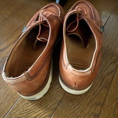 パラブーツの画像