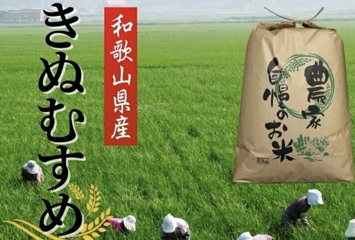 お米 令和7年産  キヌムスメ きぬむすめ 玄米30kg