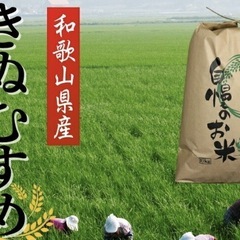 お米 米 令和7年産 キヌムスメ きぬむすめ 玄米30kg ( 虹) 紀伊の食品 