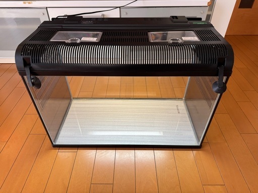 爬虫類ゲージ