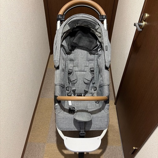 エアバギー　
AIRBUGGY COCO BRAKE EX FROM BIRTH