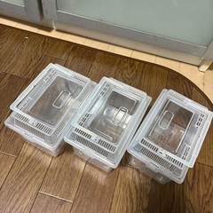 昆虫ケース 飼育ケース 大2 小3 まとめ売りの画像