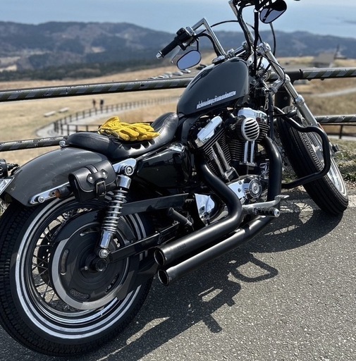 ハーレーダビッドソン スポーツスター XL1200C