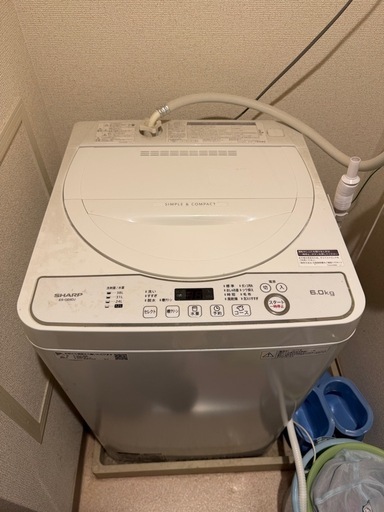 2019年製　シャンプー　6kg 洗濯機