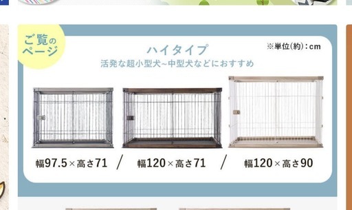 ケージ犬