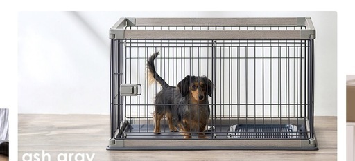 ケージ犬