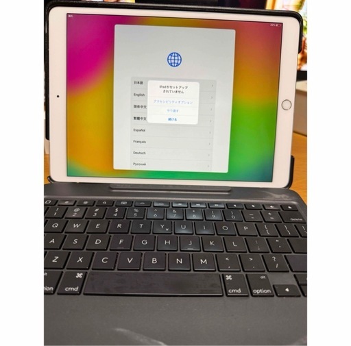 【美品・256GB】iPad Pro 10.5㌅ Cellular+Wi-Fi