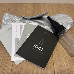 【ジャンク品】LAURASTAR 加圧式除菌スチーマー IGGI（ホワイト）　シロカの画像