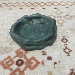 爬虫類用品の画像