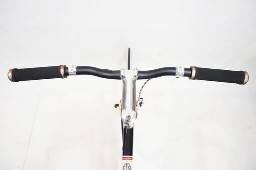 PINARELLO「ピナレロ」 lungavita 2012年モデル ピストバイク