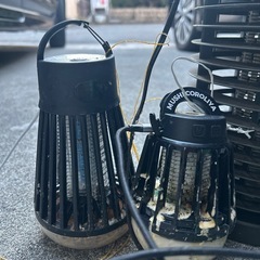 野外　虫退治の画像