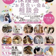 みなとねこ＊浜松町・芝大門＊ミニ譲渡会