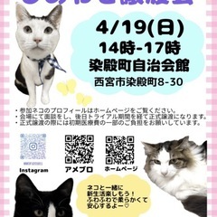 保護ネコのしあわせ譲渡会in西宮