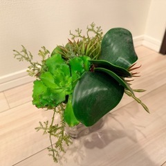 【相談中】多肉植物系フェイクグリーンの画像