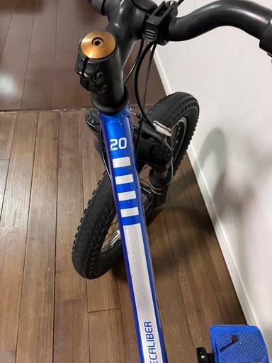TREK キッズ用自転車 20インチ Precaliber20身長114～132cm