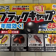 アース　　ブラックキャップの画像