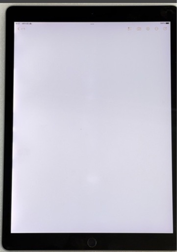 iPad por 12.9 256GB