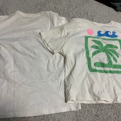 ユニクロ　ZARA Tシャツ　サイズ150・152センチ　2枚の画像