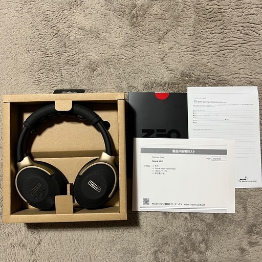 【美品・動作良好】Positive Grid Spark NEO