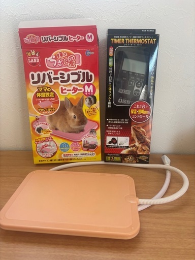 フトアゴヒゲトカゲ飼育セット