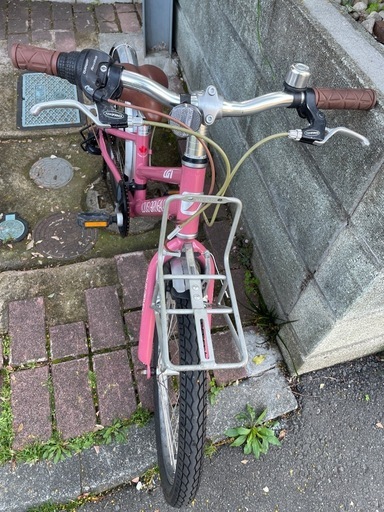 ルイガノ　J20