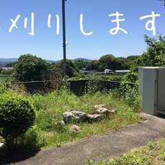草刈り1時間1000円
