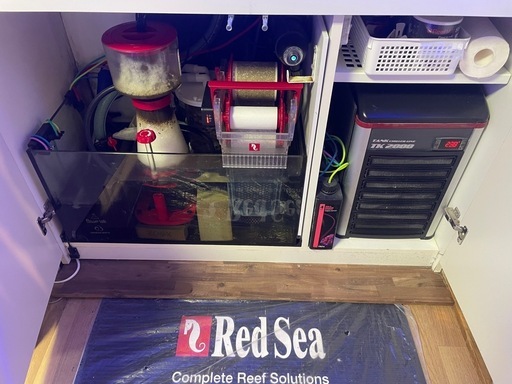 レッドシーリーファー　マリンアクアリウム　リーファー　海水魚　水槽