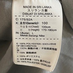 NIKE ナイキ DRI-FIT Tシャツ グレー ビッグロゴ Lサイズの画像