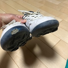 ソフトボール　スパイク　25.0の画像