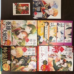 傷モノの花嫁6．7．8．9．10巻（まんが本）の画像