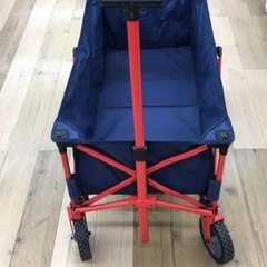 コールマン　キャリーの画像