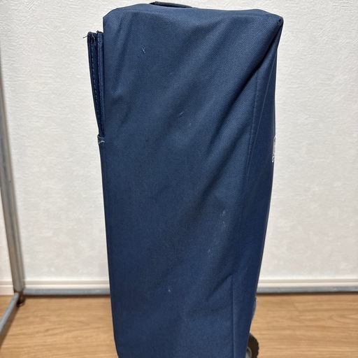 コールマン　キャリー